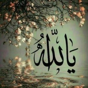 Meet your Posher, Madiha